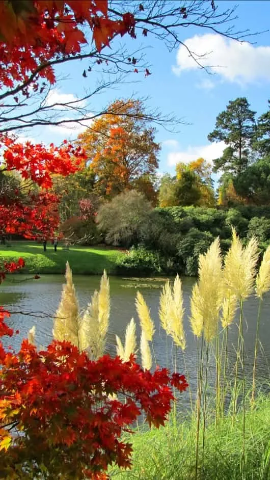 beautiful-pictures-of-nature-6 Beautiful Pictures Of Nature