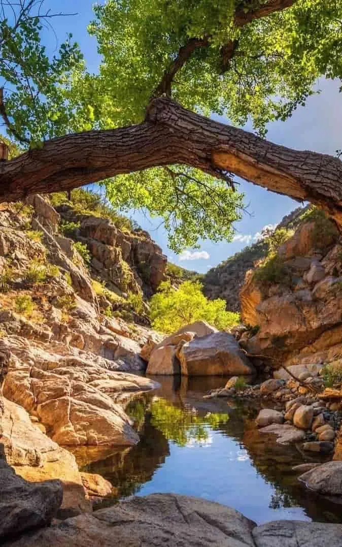 beautiful-pictures-of-nature-9 Beautiful Pictures Of Nature