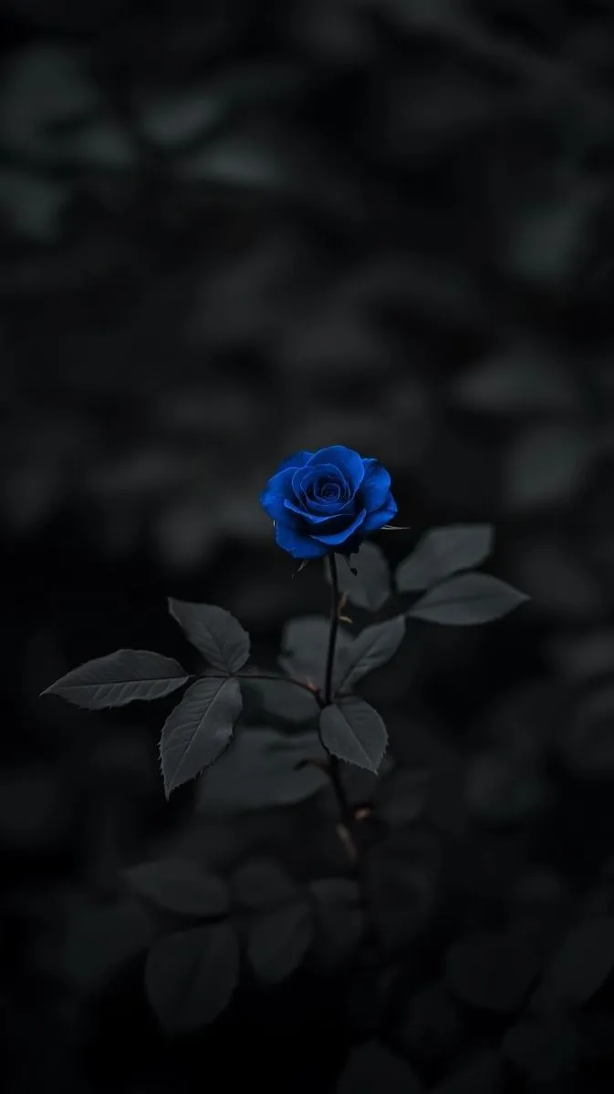 black-dp-for-instagram-3 Black Dp For Instagram