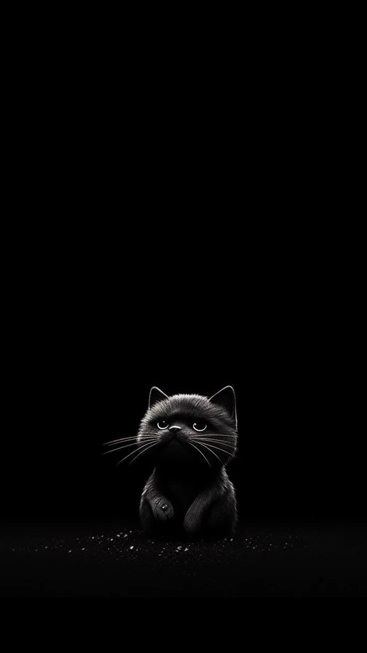darkness-dp-for-whatsapp-4 Darkness Dp For Whatsapp
