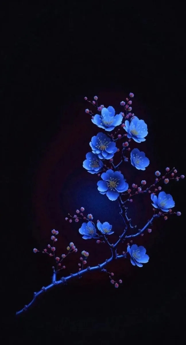 darkness-dp-for-whatsapp-6 Darkness Dp For Whatsapp