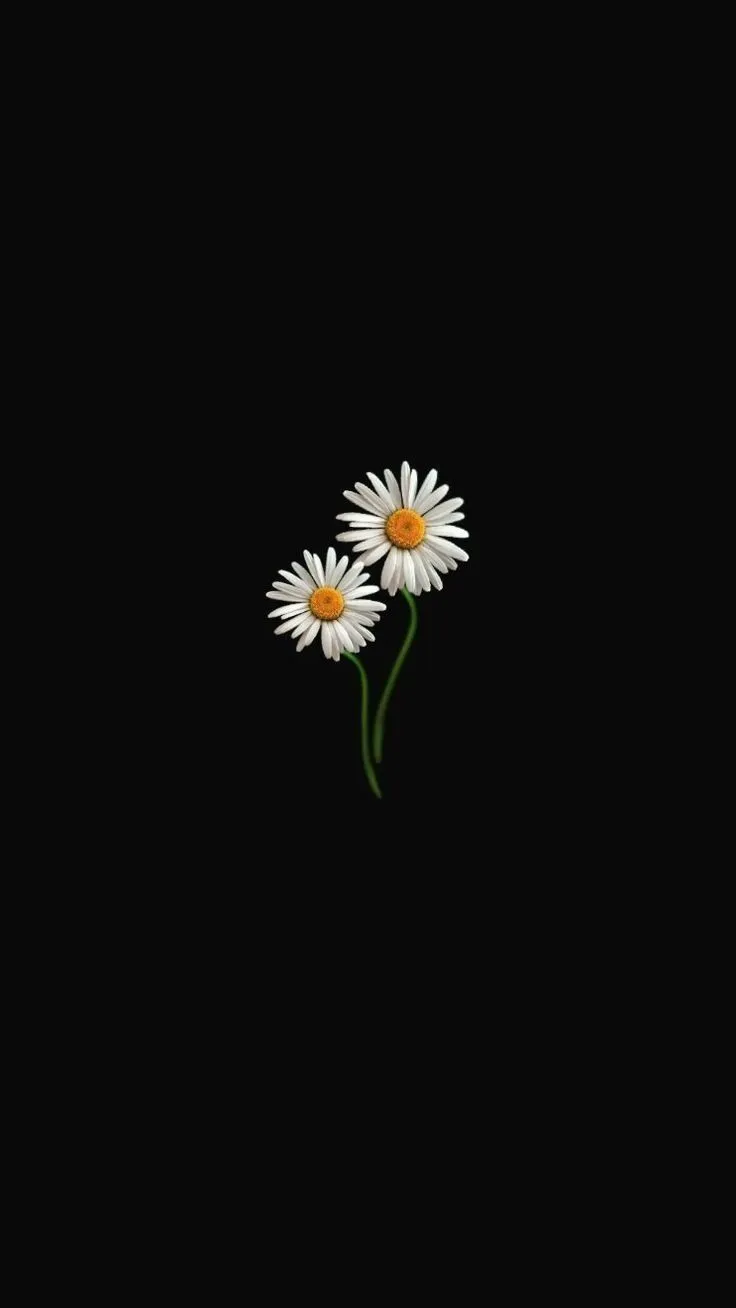 darkness-dp-for-whatsapp-8 Darkness Dp For Whatsapp