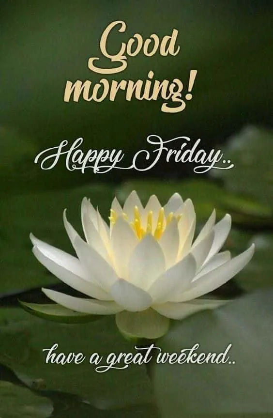 good-morning-friday-images-for-whatsapp-3 Good Morning Friday Images For Whatsapp