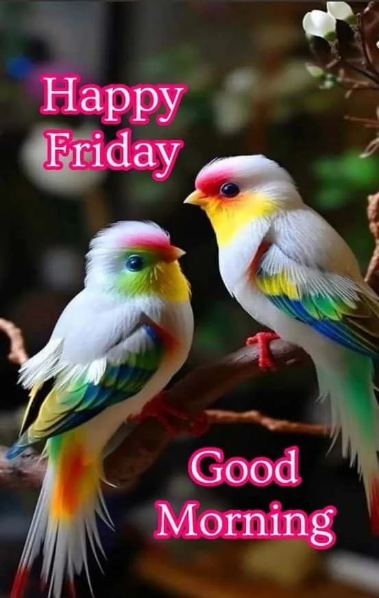 good-morning-friday-images-for-whatsapp-4 Good Morning Friday Images For Whatsapp
