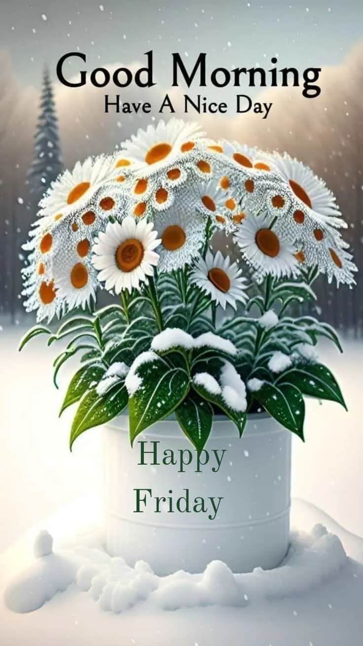 good-morning-happy-friday-images-6 Good Morning Happy Friday Images