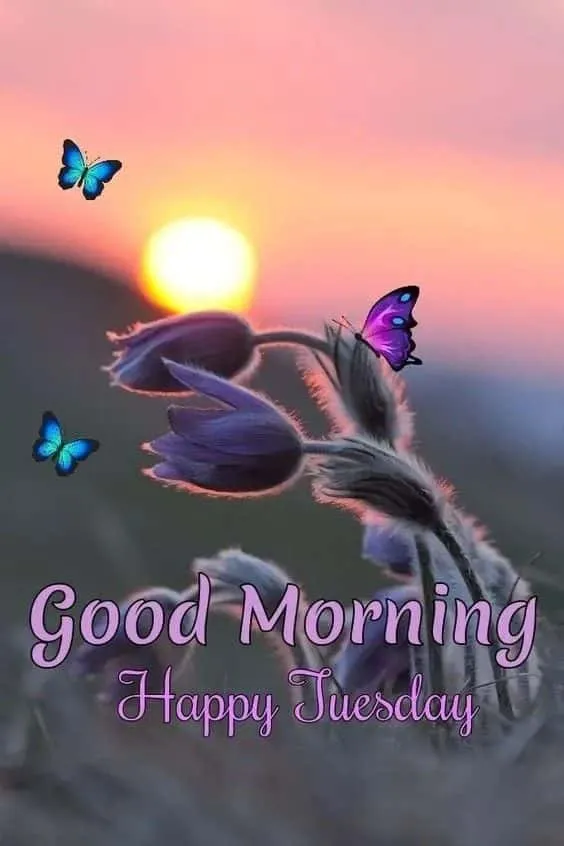 good-morning-happy-tuesday-images-10 Good Morning Happy Tuesday Images