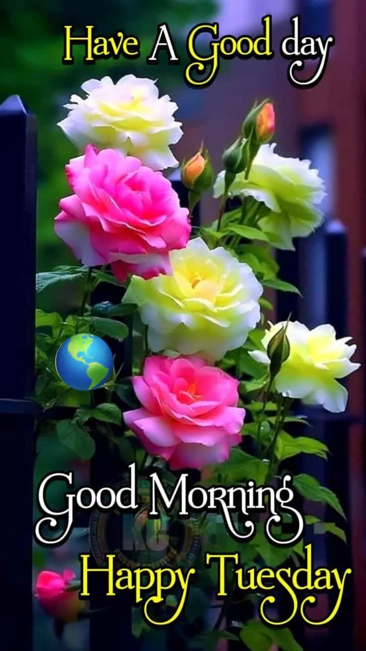 good-morning-happy-tuesday-images-3 Good Morning Happy Tuesday Images