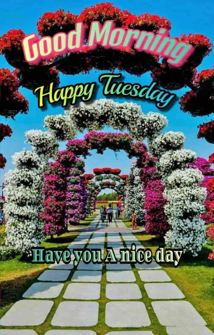 good-morning-happy-tuesday-images-4 Good Morning Happy Tuesday Images