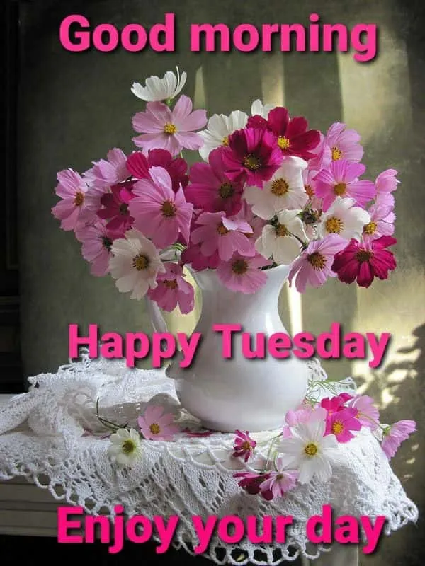 good-morning-happy-tuesday-images-8 Good Morning Happy Tuesday Images