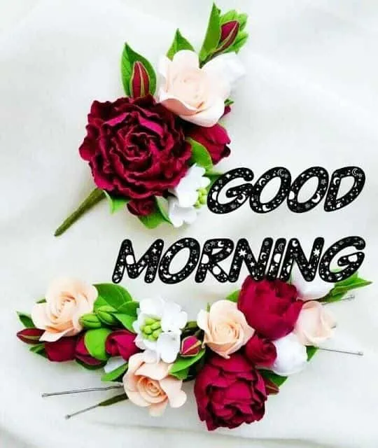good-morning-love-pic-8 Good Morning Love Pic