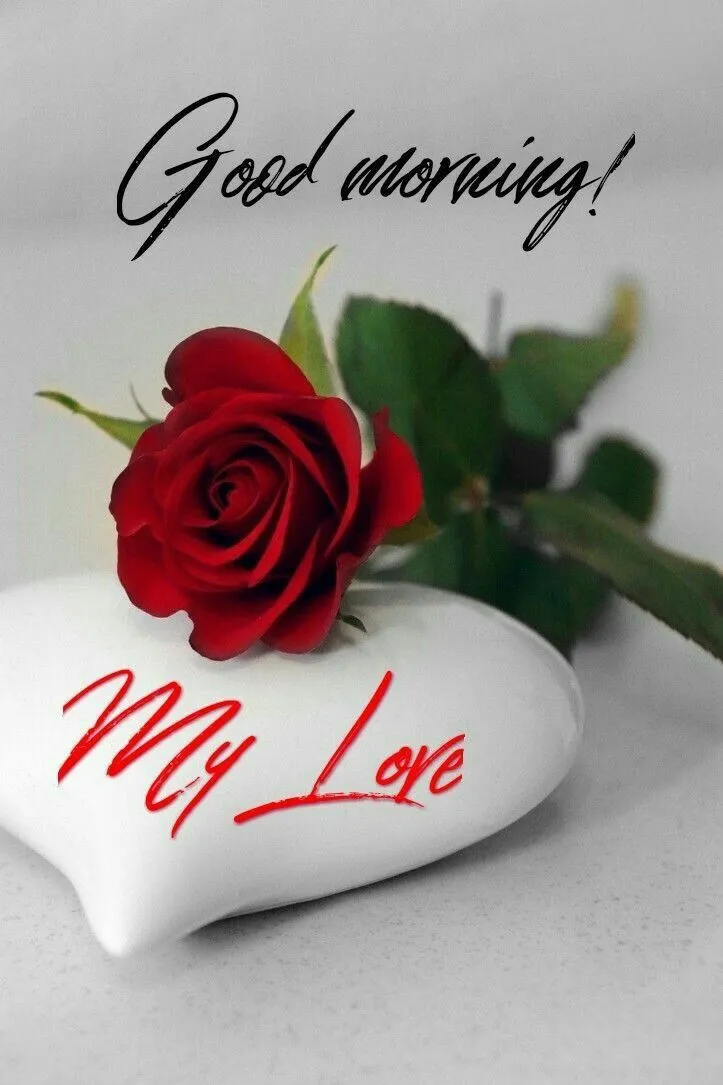 good-morning-my-love-images-6 Good Morning My Love Images