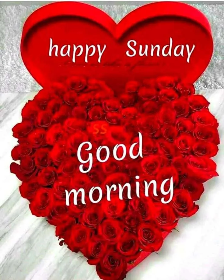 good-morning-sunday-images-5 Good Morning Sunday Images