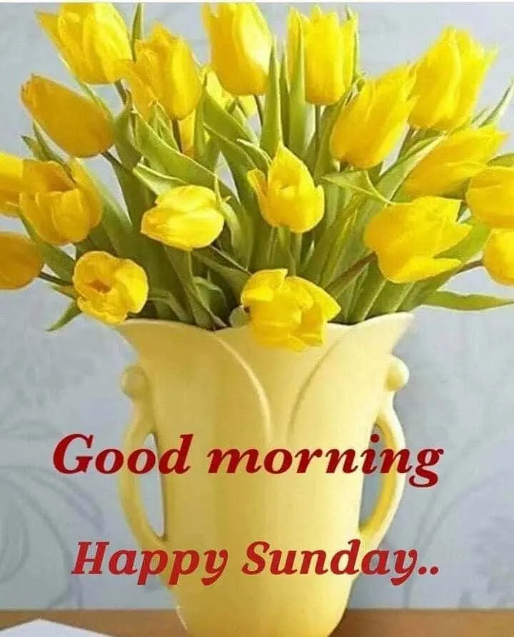 good-morning-sunday-images-7 Good Morning Sunday Images