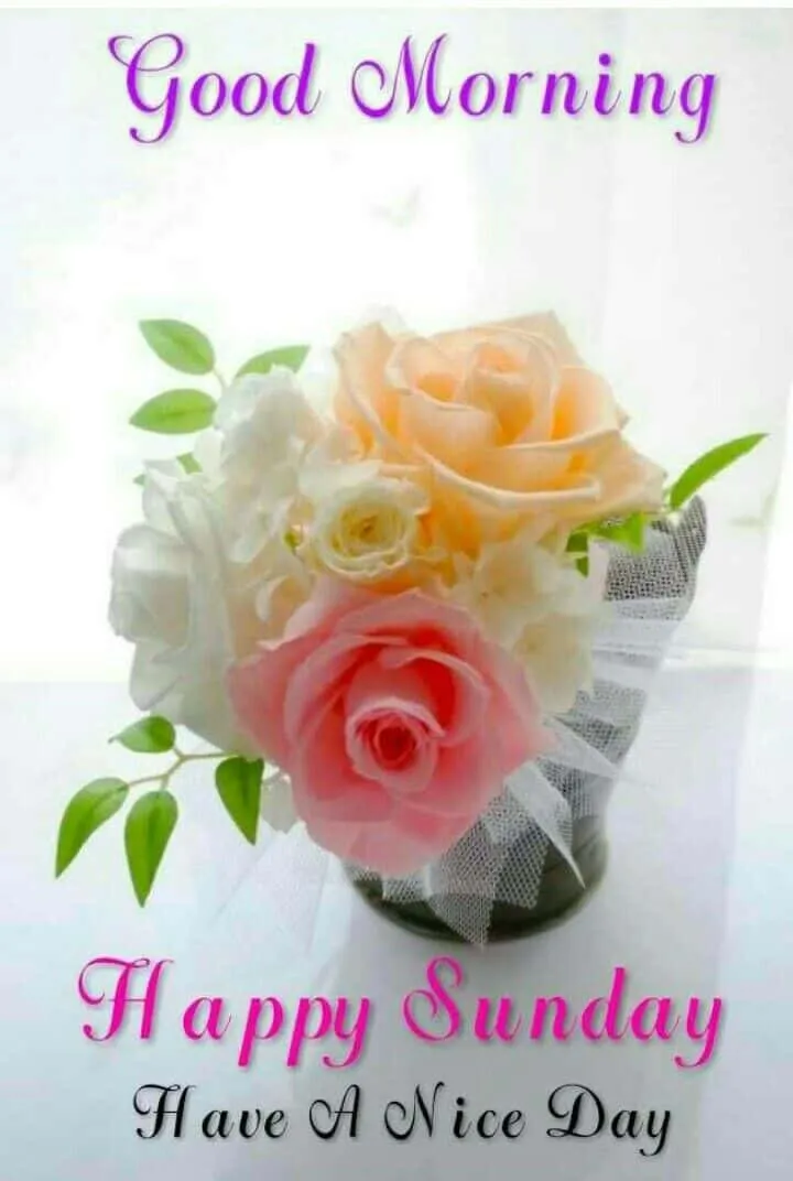 good-morning-sunday-images-9 Good Morning Sunday Images