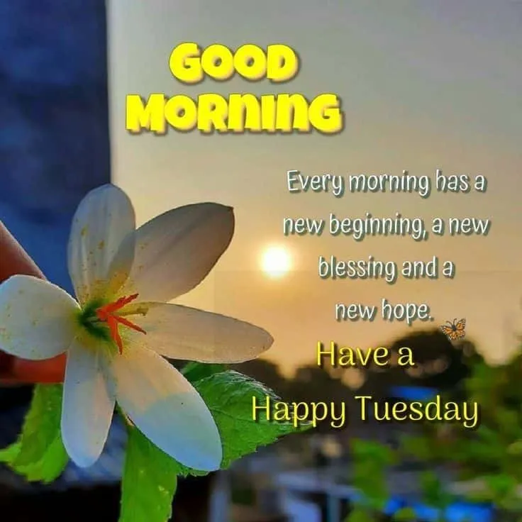 good-morning-tuesday-images-2 Good Morning Tuesday Images