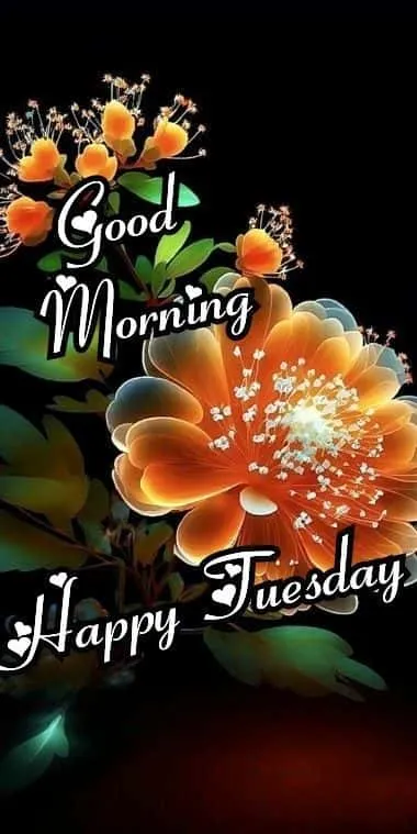 good-morning-tuesday-images-7 Good Morning Tuesday Images