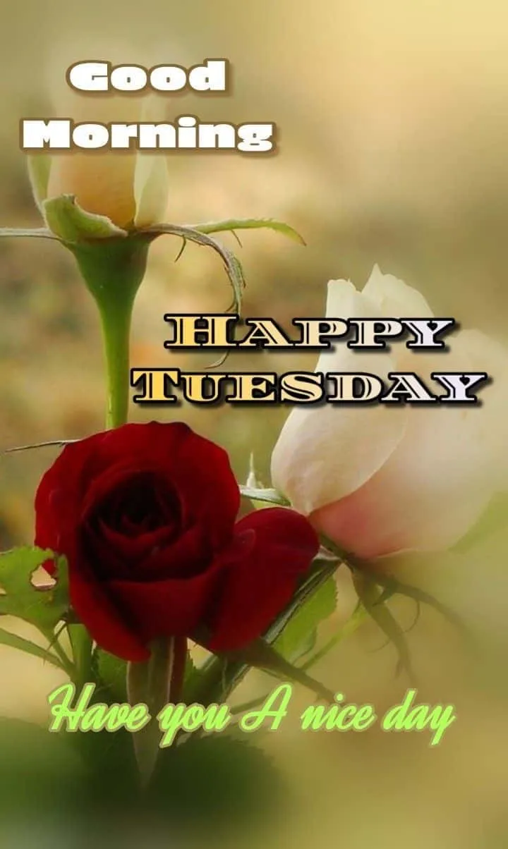 good-morning-tuesday-images-9 Good Morning Tuesday Images