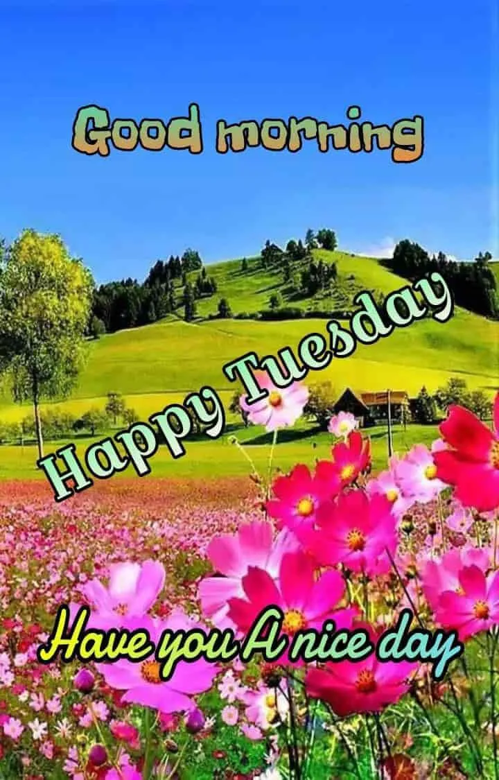 good-morning-tuesday-images-for-whatsapp-10 Good Morning Tuesday Images For Whatsapp