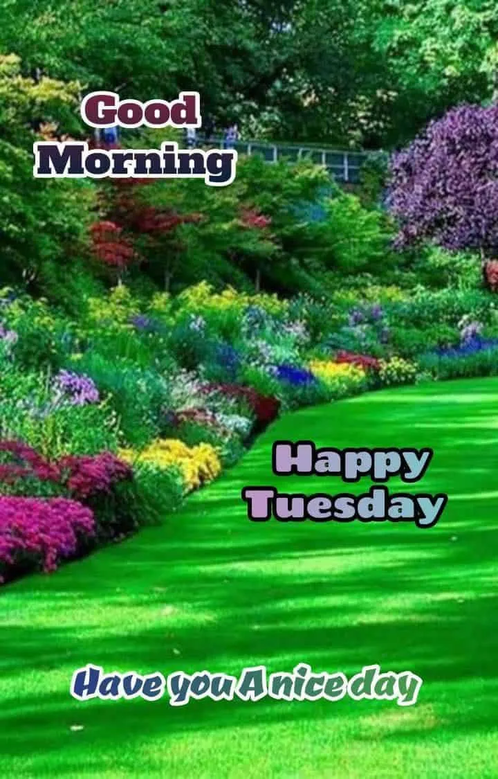 good-morning-tuesday-images-for-whatsapp-2 Good Morning Tuesday Images For Whatsapp