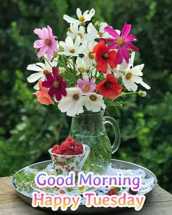 good-morning-tuesday-images-for-whatsapp-7 Good Morning Tuesday Images For Whatsapp