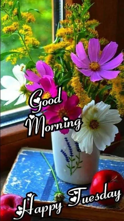 good-morning-tuesday-images-for-whatsapp-8 Good Morning Tuesday Images For Whatsapp