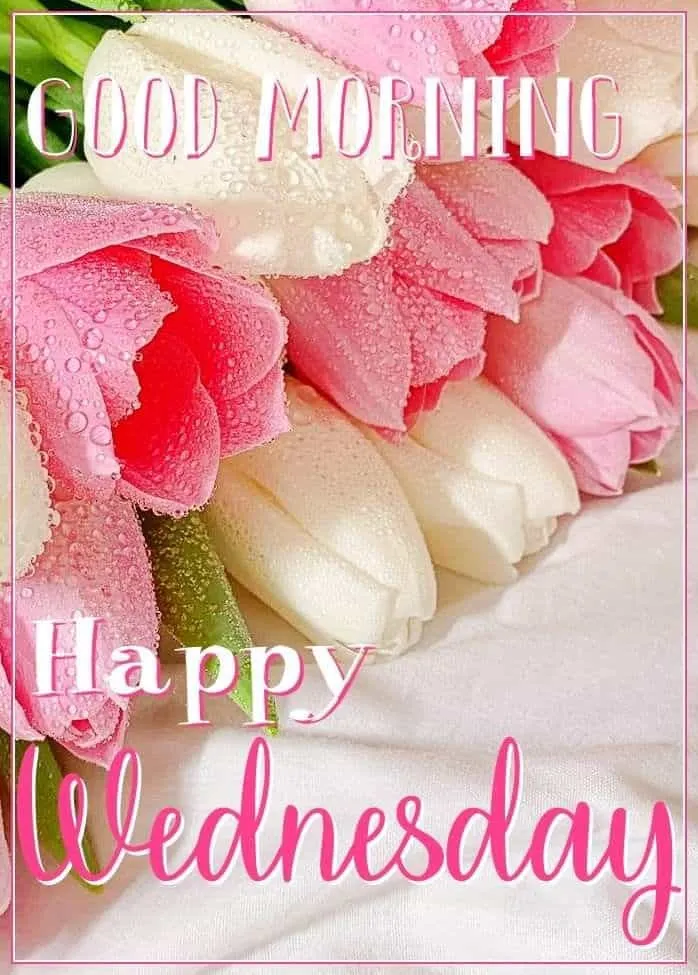 good-morning-wednesday-images-1 Good Morning Wednesday Images