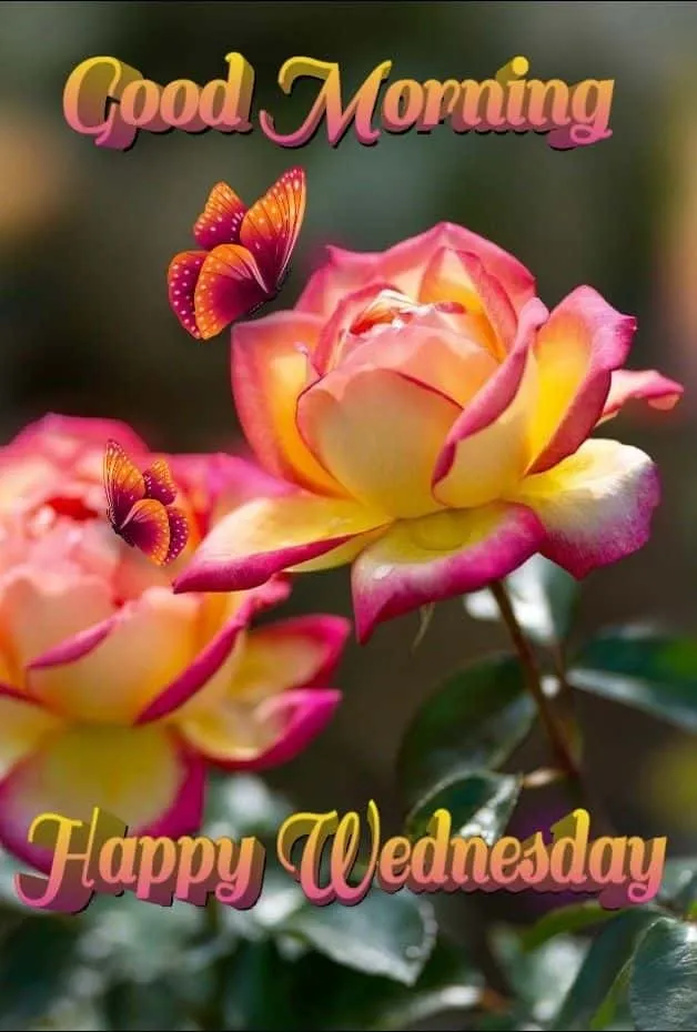 good-morning-wednesday-images-12 Good Morning Wednesday Images