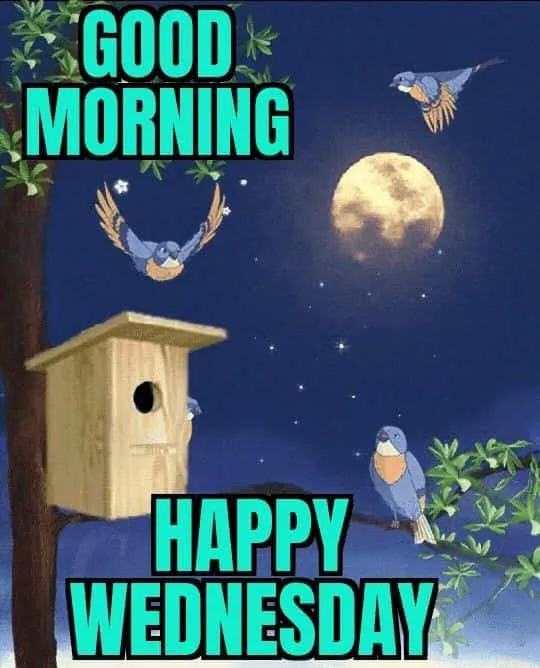 good-morning-wednesday-images-15 Good Morning Wednesday Images
