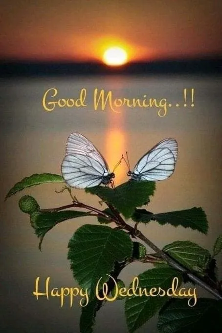 good-morning-wednesday-images-5 Good Morning Wednesday Images