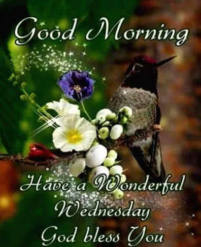 good-morning-wednesday-images-6 Good Morning Wednesday Images
