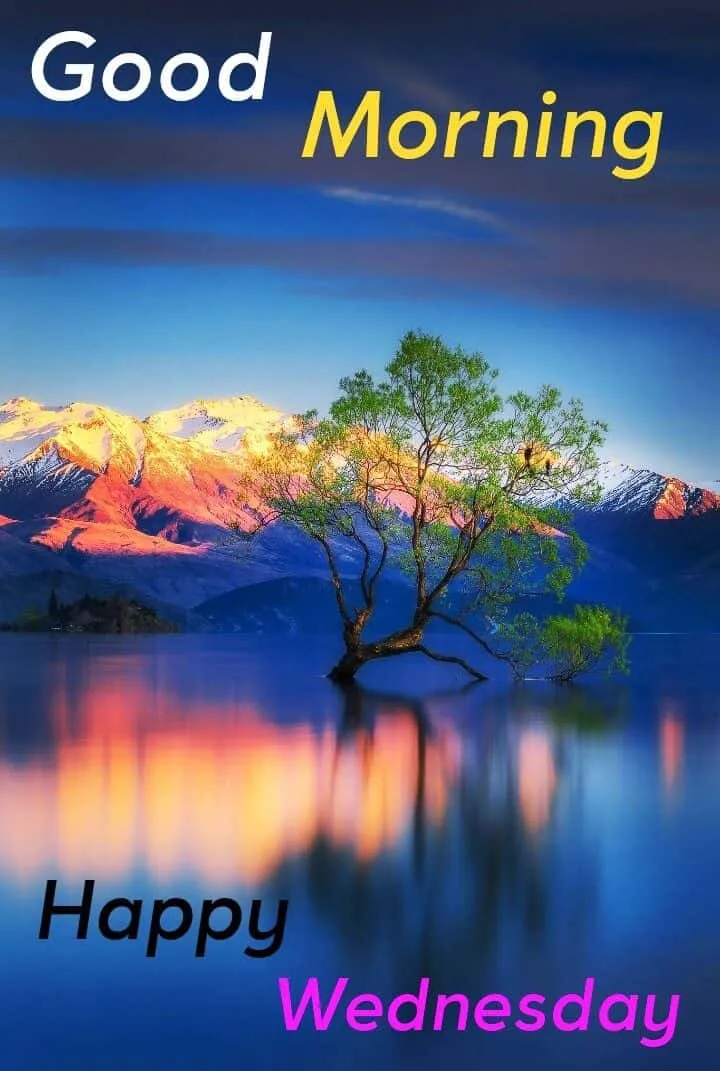 good-morning-wednesday-images-7 Good Morning Wednesday Images