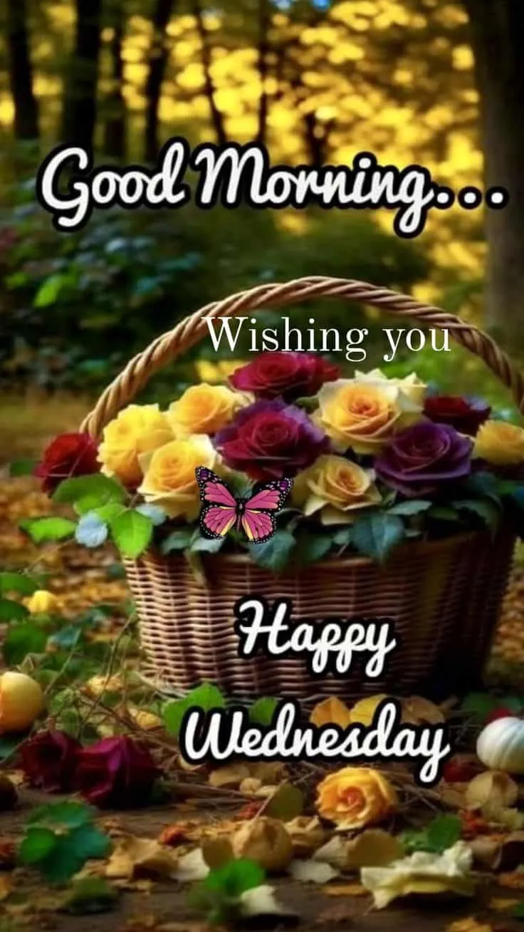 good-morning-wednesday-images-9 Good Morning Wednesday Images