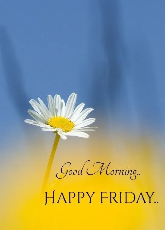 happy-friday-good-morning-images-10 Happy Friday Good Morning Images