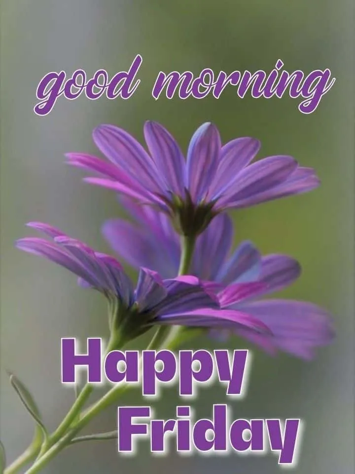 happy-friday-good-morning-images-9 Happy Friday Good Morning Images
