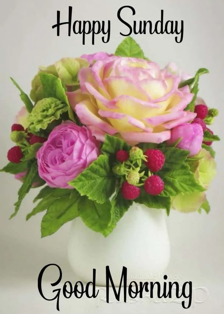 happy-sunday-good-morning-images-5 Happy Sunday Good Morning Images