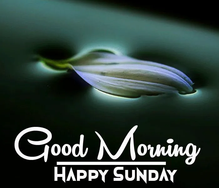 happy-sunday-good-morning-images-8 Happy Sunday Good Morning Images