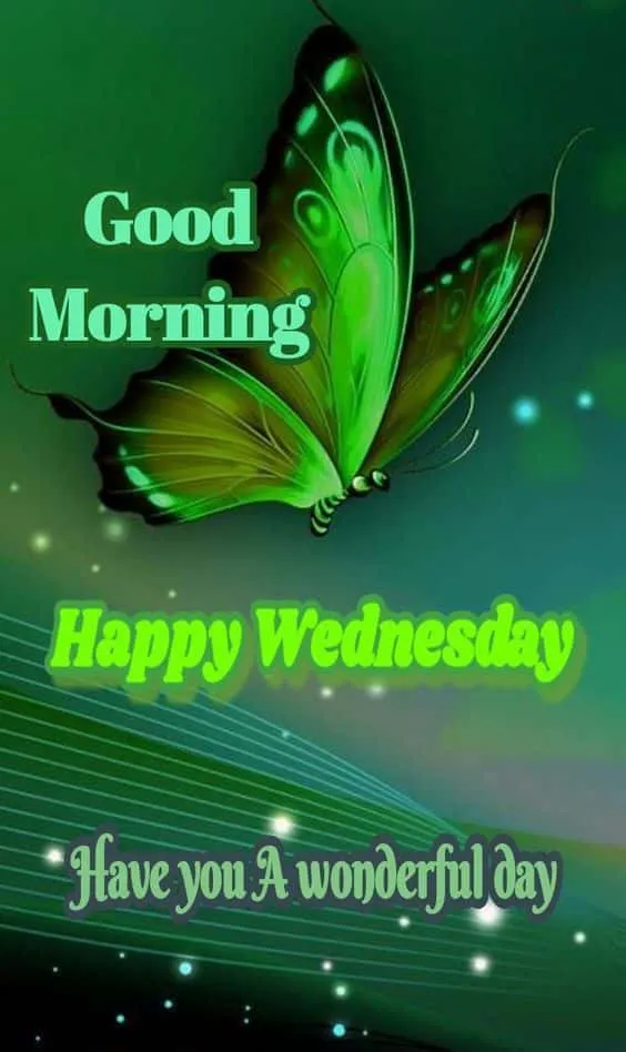 happy-tuesday-good-morning-images-2 Happy Tuesday Good Morning Images
