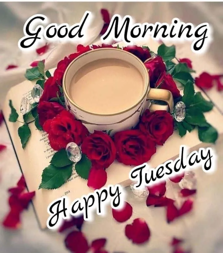 happy-tuesday-good-morning-images-4 Happy Tuesday Good Morning Images