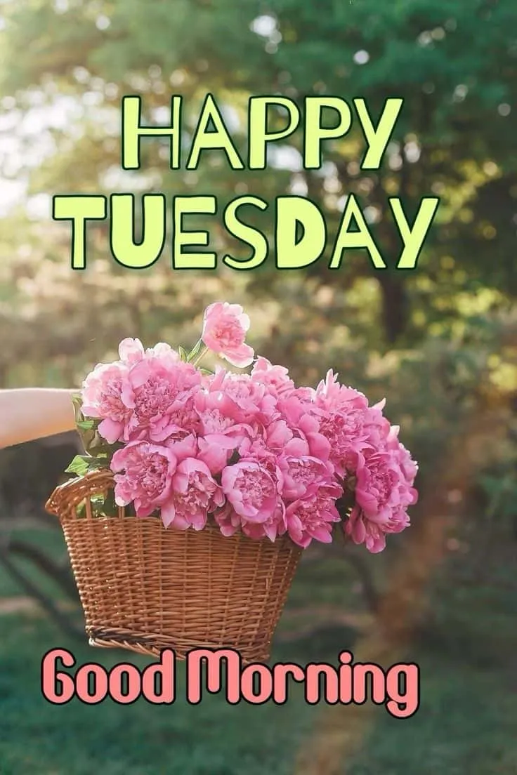 happy-tuesday-good-morning-images-5 Happy Tuesday Good Morning Images