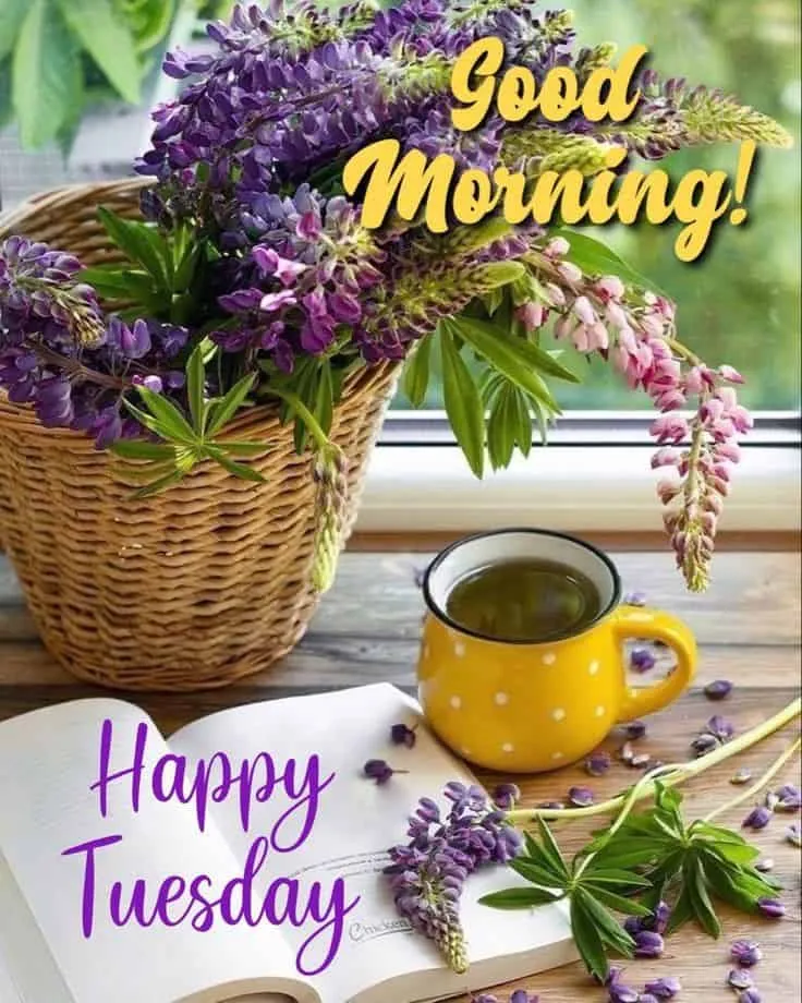 happy-tuesday-good-morning-images-7 Happy Tuesday Good Morning Images