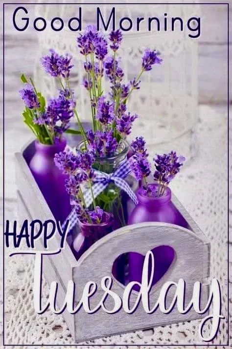 happy-tuesday-good-morning-images-9 Happy Tuesday Good Morning Images