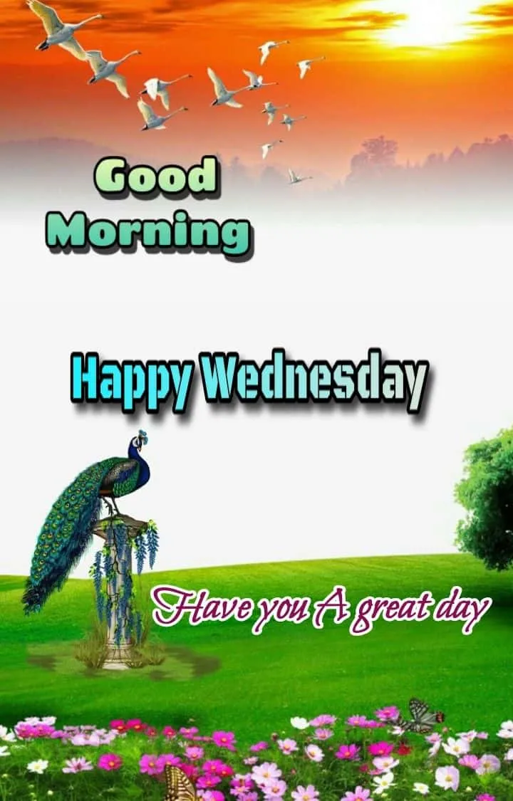 happy-wednesday-good-morning-images-1 Happy Wednesday Good Morning Images
