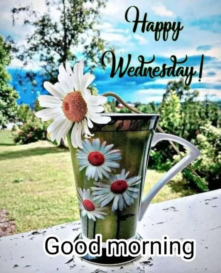 happy-wednesday-good-morning-images-12 Happy Wednesday Good Morning Images