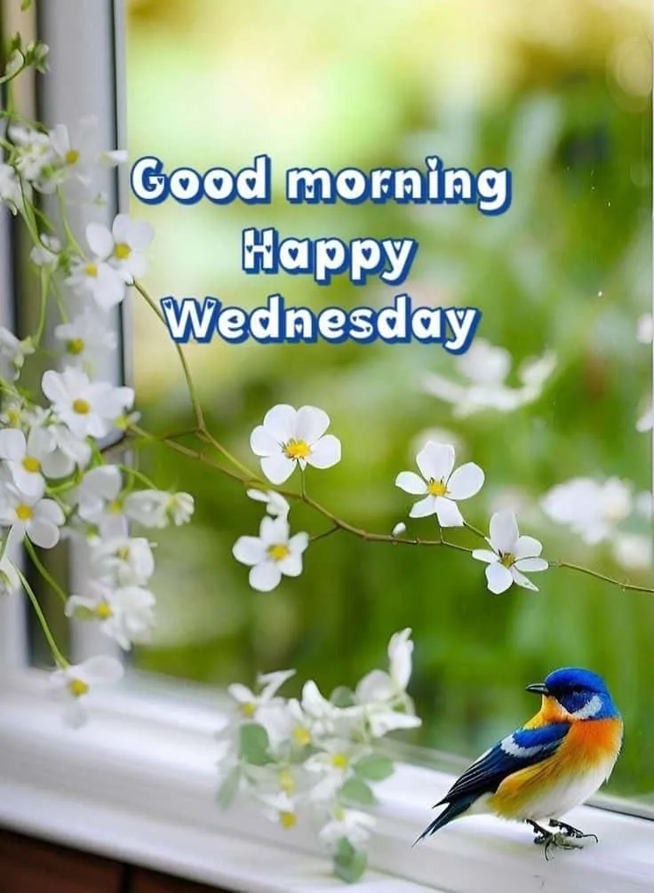 happy-wednesday-good-morning-images-4 Happy Wednesday Good Morning Images
