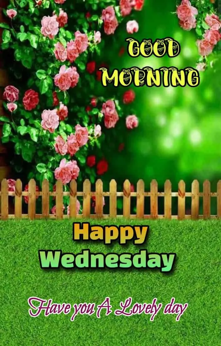happy-wednesday-good-morning-images-6 Happy Wednesday Good Morning Images