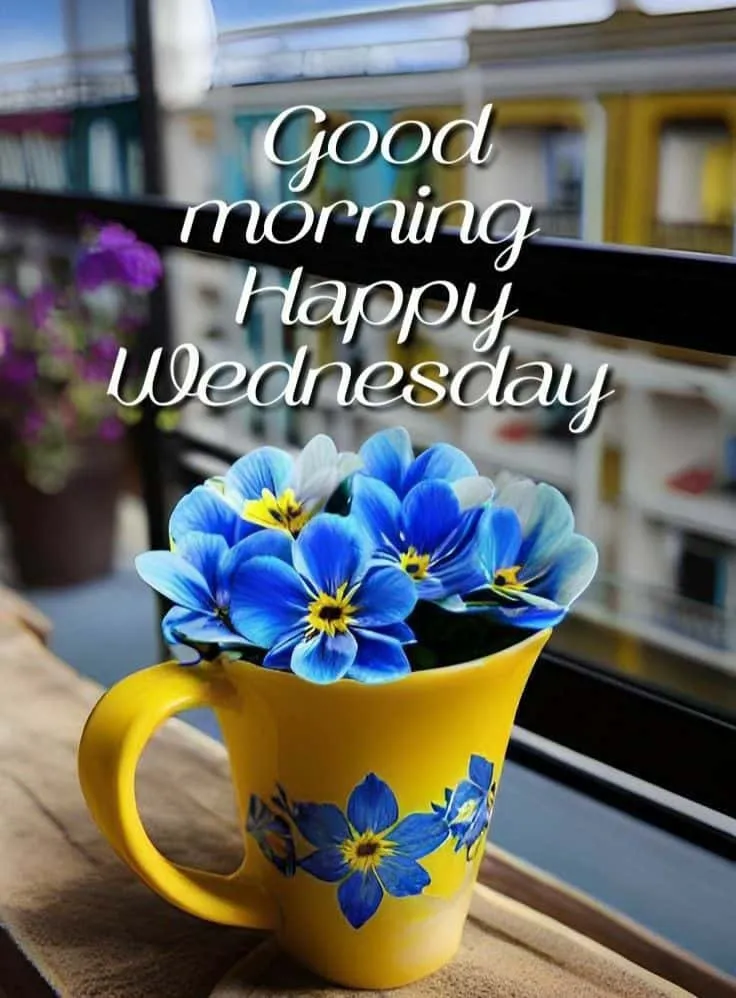 happy-wednesday-good-morning-images-7 Happy Wednesday Good Morning Images