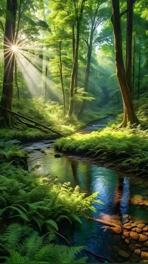 nature-images-7 Nature Images