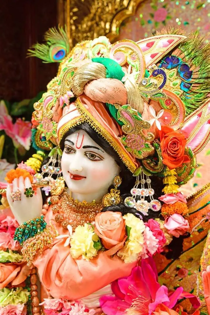 shri-krishna-image-6 Shri Krishna Image