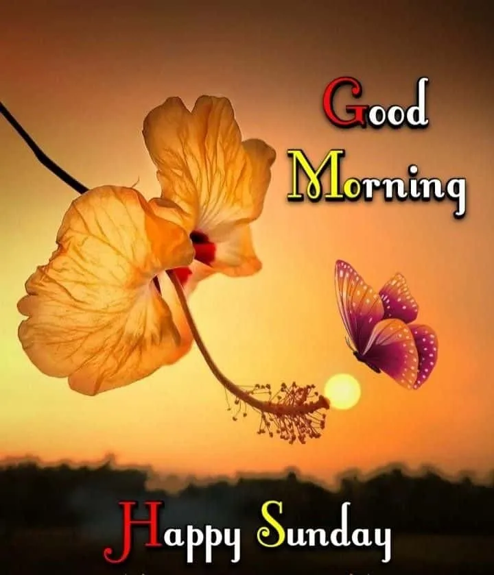 sunday-good-morning-images-for-whatsapp-2 Sunday Good Morning Images For Whatsapp