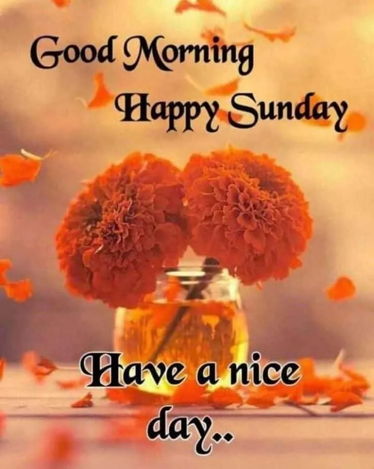 sunday-good-morning-images-for-whatsapp-3 Sunday Good Morning Images For Whatsapp